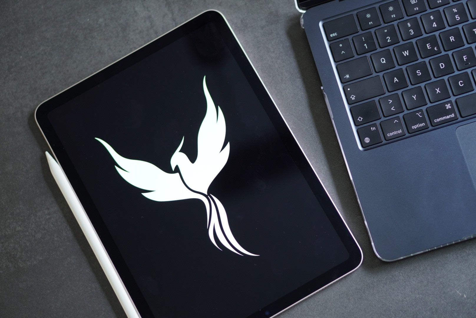 Tablet mit stylischem LivnFree Phoenix neben einer Laptop-Tastatur – Darstellung des Markenlogos für Kampfsportmarke für Frauen